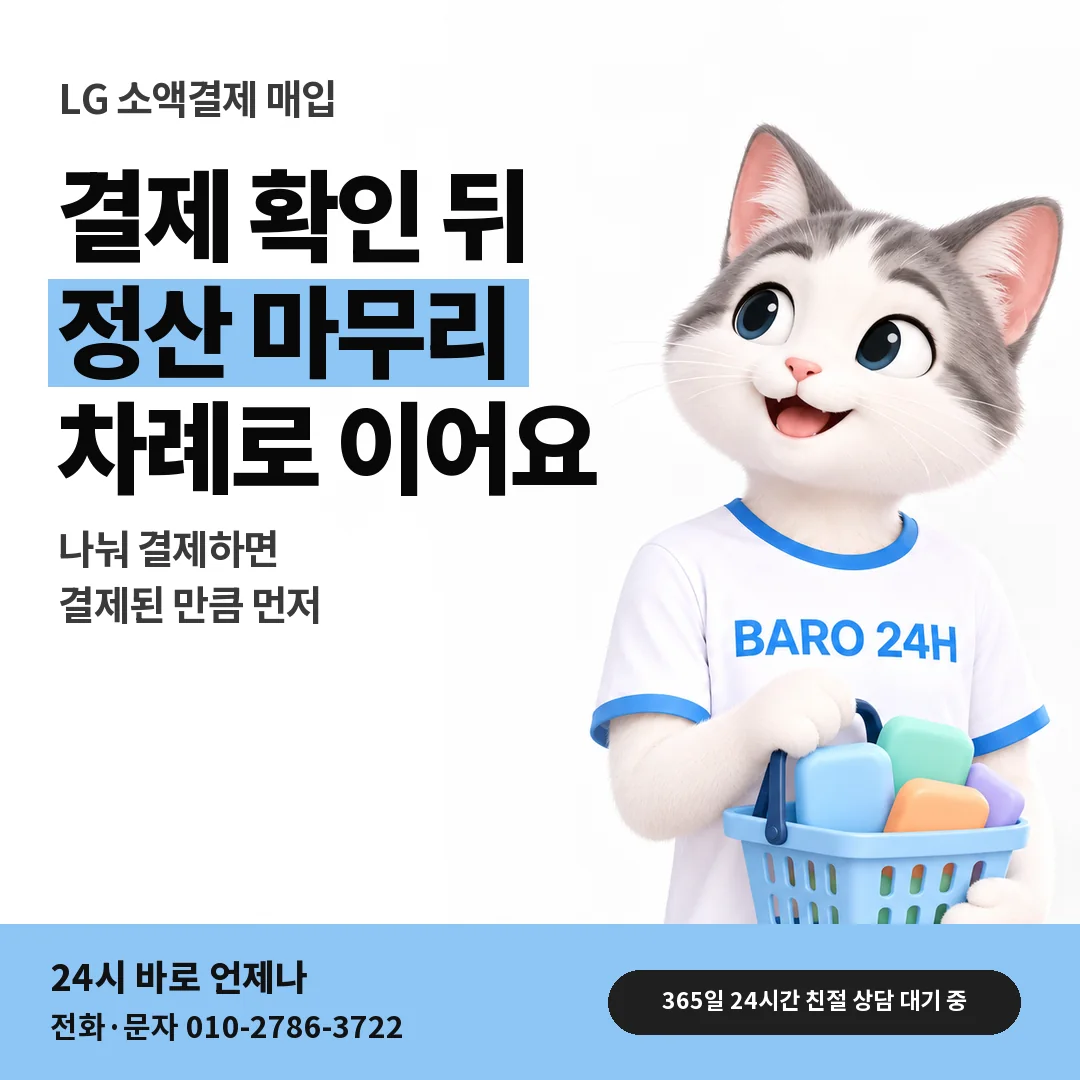 BARO 24H 티셔츠를 입은 3D 동물 캐릭터 옆에 「LG 나눠 결제와 정산」 제목을 얹은 안내 카드